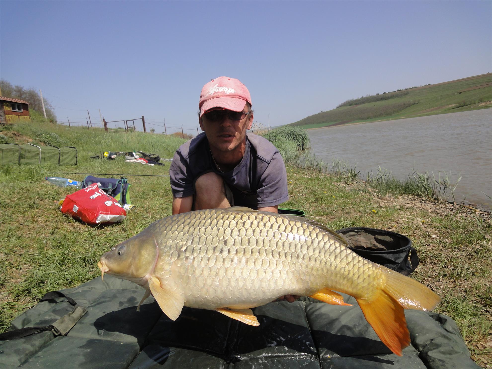 Adunate... - dsc02335.JPG